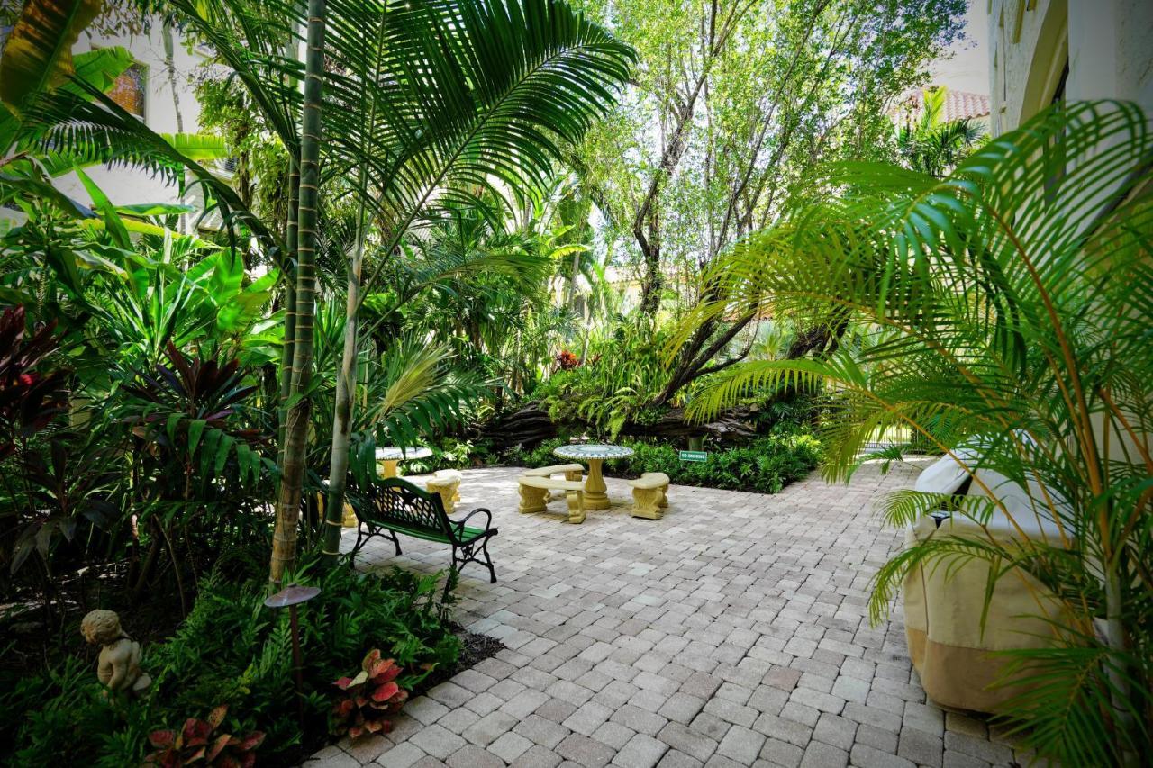 Renovated Studio In The Heart Of Palm Beach - Free Parking, Security Box Buitenkant foto